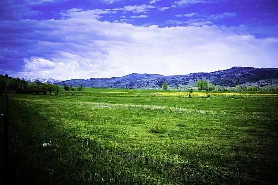 Landscape, agriculture, cloud, clouds, cloudscape, cloudy, country, countryside, environment, farm, field, grass, grassland, horizon, land, lawn, meadow, outside, pasture, plain, plant, rural, scene, season, sky, spring, summer, sun, sunlight, weather